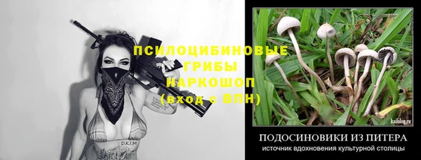 стафф Абинск