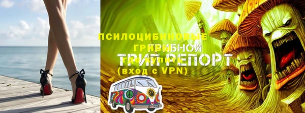 стафф Абинск