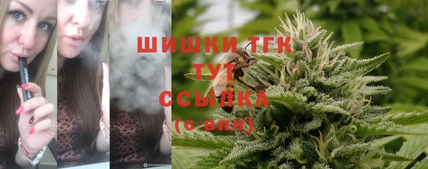 мет Абаза
