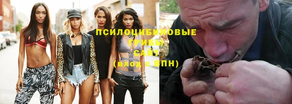 стафф Абинск