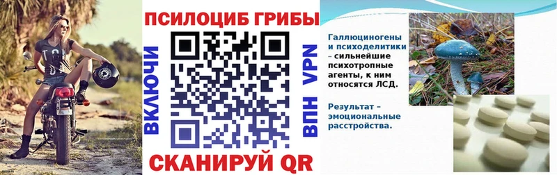 Галлюциногенные грибы мицелий  Циолковский 