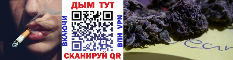 Конопля ГИДРОПОН  сколько стоит  Циолковский 